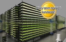 Şehir çiftlikleri geliyor!