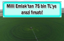 Milli Emlak o ilde 75 bin TL'ye arazi satacak! Açıklanan bu tarihi sakın kaçırmayın!