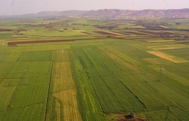 İmar barışında hazine yerlerinin durumu!