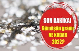 SON DAKİKA! Gümüşün gramı ne kadar 2022?