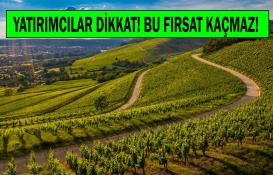 Konya Cihanbeyli'de yüzde 20 indirim ve 4 taksit fırsatıyla 984 gayrimenkul satılıyor! 