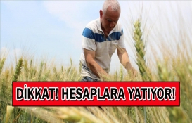 Çiftçilere büyük müjde! Bakan Kirişçi o tarihleri açıkladı! İşte destek ödemelerinin hesaplara geçeceği tarihler!