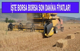 Çiftçilere son dakika şoku! Buğday fiyatları bugün kaç lira oldu? 25 Temmuz 2022 fiyat listesi...