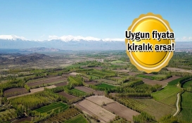 Belediye'den büyük fırsat! Tekirdağ'da 24 arsa kiraya verilecek!