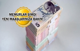 Yeni zamlı memur maaşları kalem kalem açıklandı! Öğretmen, polis, doktor, mühendis maaşları kaç TL oldu? İşte o rakamlar