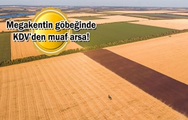 Pendik'te yüzde 25'i peşin, kalanı 3 taksitle arsa satılıyor! Belediye tarihi açıkladı! 