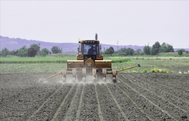Tarımda uygun gıda fiyatları için devrim niteliğinde gelişme!
