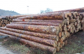 Jova Orman Ürünleri'nin konkordato talebi reddedildi!