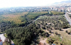 Ege Üniversitesi’nin koruluğu ‘Millet Bahçesi’ oluyor!