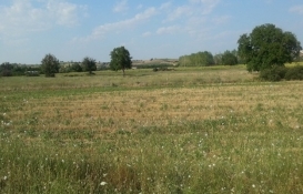 Tapuda kamu adına istimlak şerhi bulunması nedir?