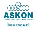 ASKON projeleri