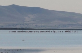 Çevre ve Şehircilik Bakanlığınca korunan alan sayısı 3 bin 534'e çıktı!