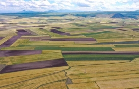 Milli Emlak’tan 41 bin TL’ye satış! İzmir Tire, Niğde Bor'da satılık arsalar!