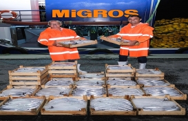 Migros’tan herkes balık yesin diye kampanya! Palamut 19.90 TL’den satışta…