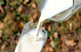 Sanayici bastırdı süt fiyatları düştü! Peki şimdi ne olacak?